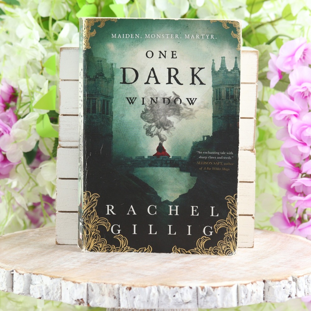 One Dark Window by Rachel Gillig Paperback Gothic Fantasy Novel